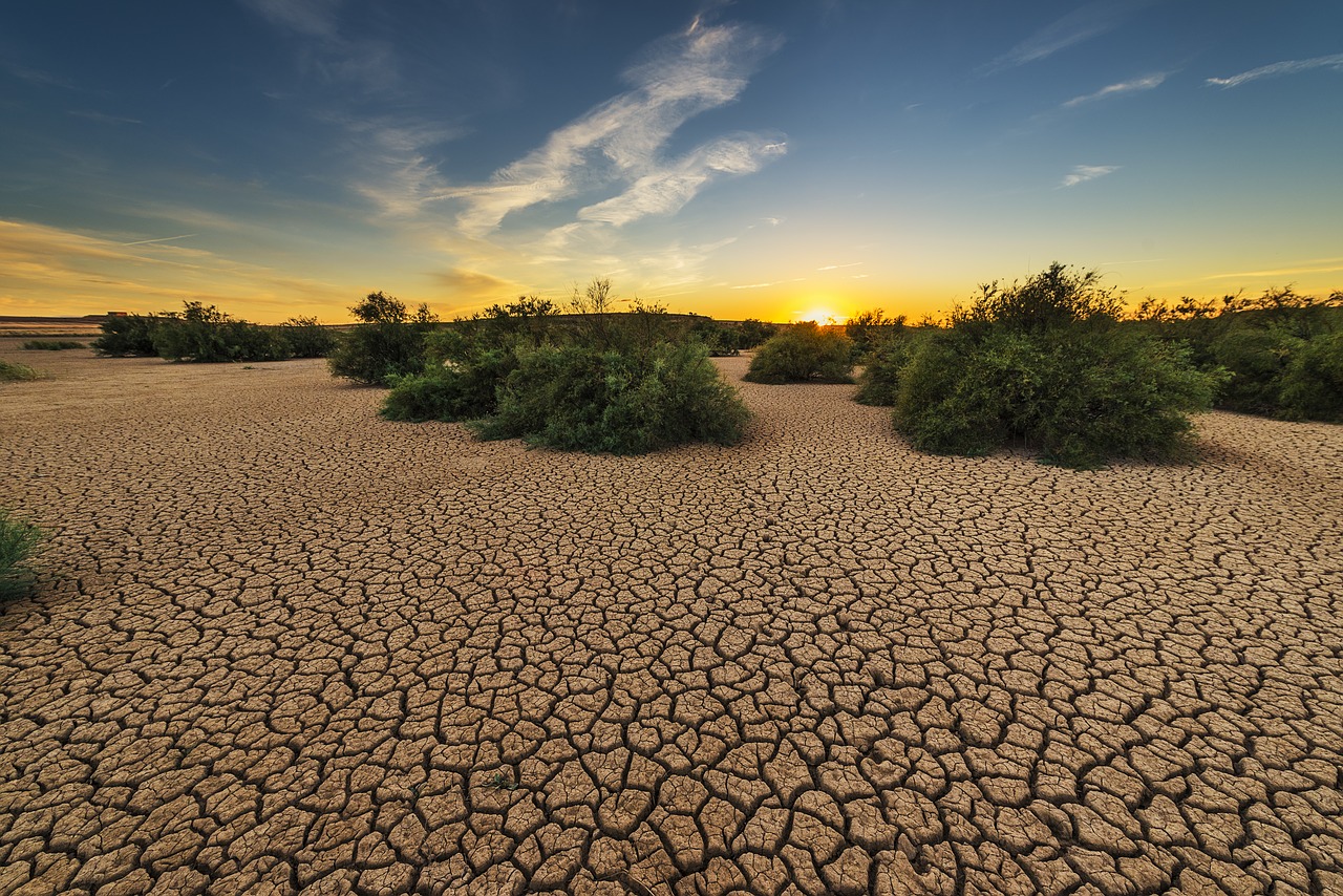 Cyclical drought: and what we can do