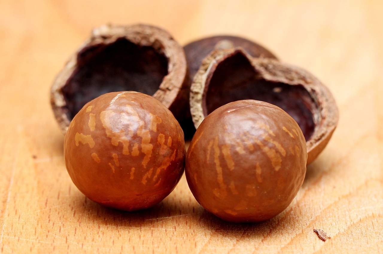 Troubles of the Macadamia Value Chain
